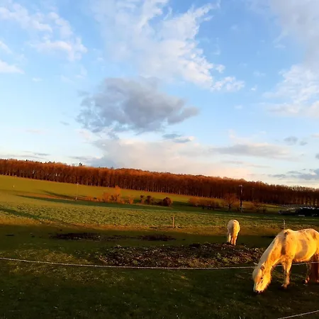 Les Chavautes Szálloda