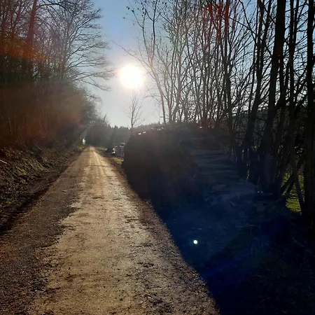 Les Chavautes 3* Scy